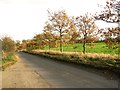 Rural lane, Ellough