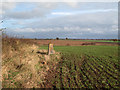 Trig point at Hill Farm