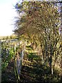 Footpath to Chickering Road