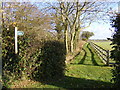 TM1974 : Footpath to Cat's Lane by Geographer