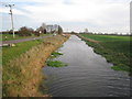 The River Torne at Tunnel Pits (2)