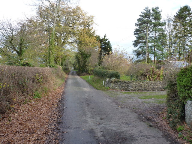 Along the lane near Brownhills Farm
