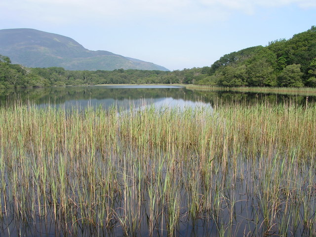 Lough Doo in Killarney National Park