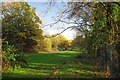 A path in Claybury Park