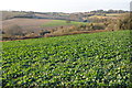 Farmland near Miserden