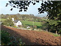 Secluded cottage above the Conwy Valley