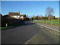 Lime Avenue looking north from the school