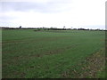 Farmland near The Forest