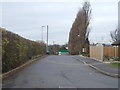 Birk Lane - looking towards Bruntcliffe Lane