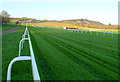 Racecourse surface, Chepstow Racecourse