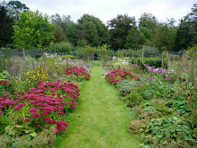 Gardens at Bolwick Hall, Marsham © ethics girl :: Geograph Britain and ...