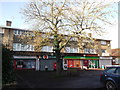 Hurst Green Shops