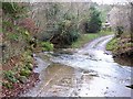 Ford at Coastley Burnfoot Farm