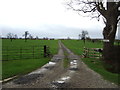 Track to Low Wiske Moor