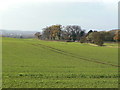 Home Farm, Prestwold