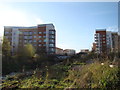 Ravensbourne riverside development