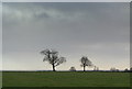 Wolds landscape