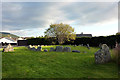 Aviemore Ring Cairn and Stone Circle