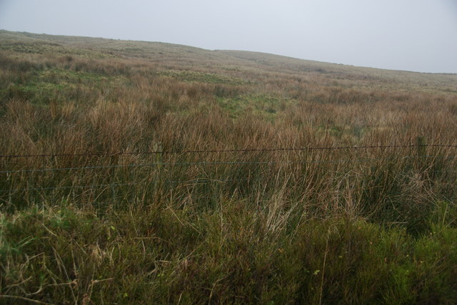 West Pennine grassland