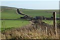 Wansdyke and Shepherds