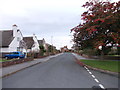 The Roundway - viewed from East Park Street