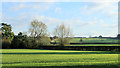 SU0173 : 2011 : East from the A3102 by Maurice Pullin