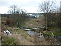 A footbridge over Bradford Beck