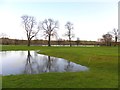 Flooding, Omagh Golf course (3)