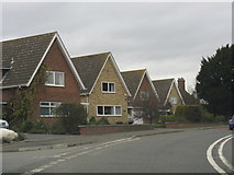 SJ7200 : Modern detached houses, Norton by Peter Whatley