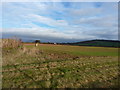 Brickyard Field trig point