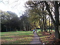 Bridleway through Limpsfield Common