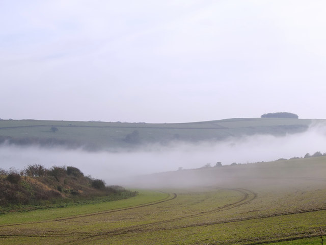 A foggy day on the Downs (2)