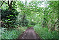 Sussex Border Path north of Rake Hanger