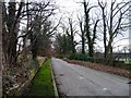 Little-used pavement, Newsam Green Road