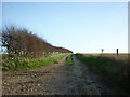TA0775 : A farm track towards Hunmanby Grange by Ian S