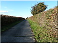 Bridleway to Strood Farm