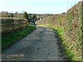 Approach to Strood Farm