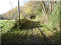 Bend in bridleway in Powdering Tub Wood