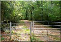 Public bridleway, Loxwood, West Sussex