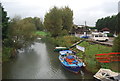 River Rother at Newenden