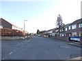 Norwood Grove - viewed from Bottoms Lane