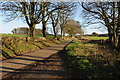 Tree-line road to Winstone