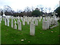 The Brigade of Guards Plot, Brompton Cemetery