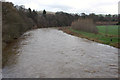 A full River Tweed seen from Redbridge Viaduct