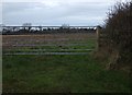 A field in winter near Fire and Smoke Farm