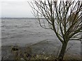 Lough Neagh at Annaghmore