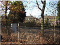 Railway line passing alongside Ladywell Fields