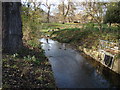 View of the Ravensbourne from the footbridge near Malyons Road