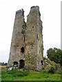 S3813 : Ruins of Clonea Castle at Sruhavroghaun by ethics girl