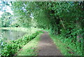 E2 Path by the River Wey